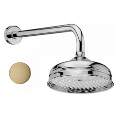 Верхний душ с кронштейном Webert AC0015065 бронза