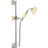 Душевой гарнитур Webert Shower Set AC0384017, хром/золото