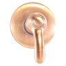 Смеситель для душа встраиваемый Webert Aurora AU880101060, медь