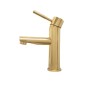 Смеситель для раковины Webert Rimini RI830102010. золото