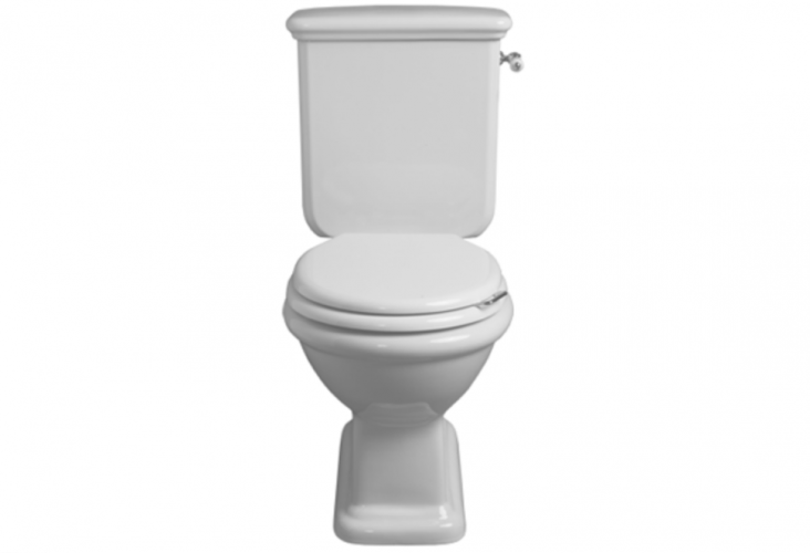 Чаша унитаза SIMAS LANTE напольный к бачку моноблок цвет белый LA08