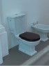 Сиденье с крышкой Artceram HERMITAGE с плавным опусканием цвет орех HEA004 71